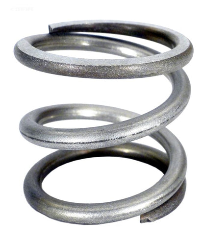 Pentair 1.5 in. High Flow Backwash Valve, Spring, Compression, after 1992 (272535)
