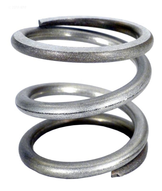 Pentair 1.5 in. High Flow Backwash Valve, Spring, Compression, after 1992 (272535)