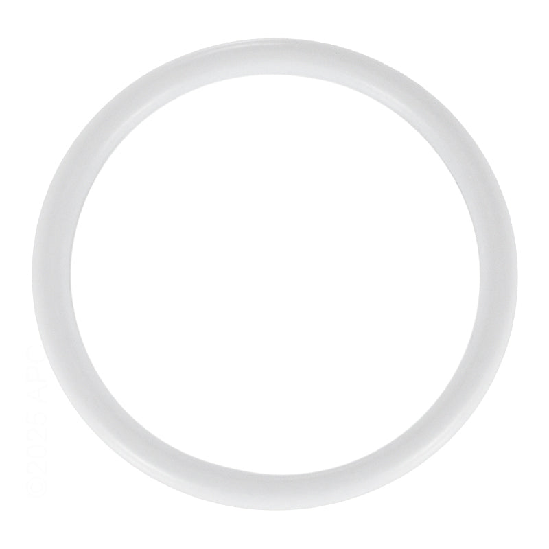 05 - Pentair TR100C & TR140C Air Relief Valve O-ring (274495)