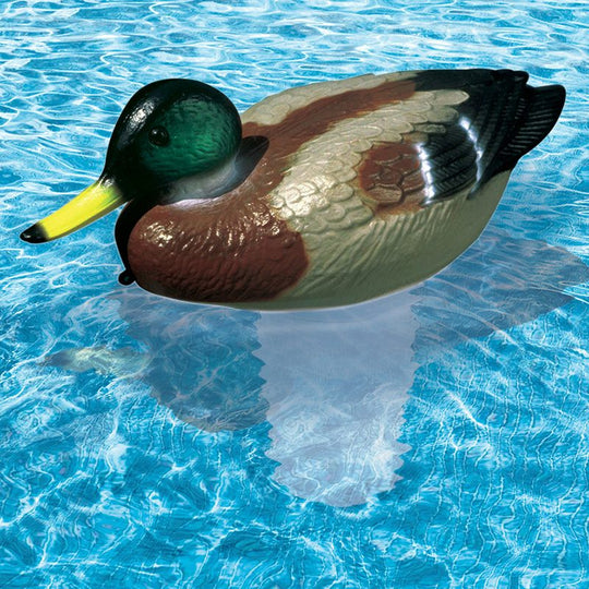 CloriDuck Mallard Floating Chlorine Dispenser (32130)