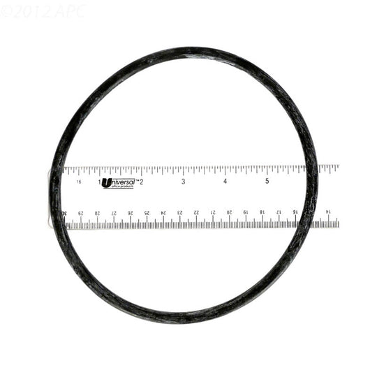 Pentair Pump Lid O-Ring - 350013Z