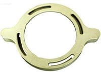 Pentair SuperFlo Pump Strainer Pot Clamp, Cam & Ramp (350090)