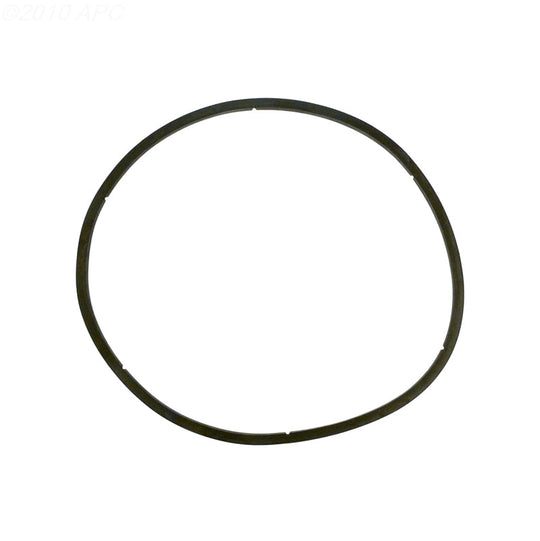 Pentair Gasket EQ Lid 350166Z