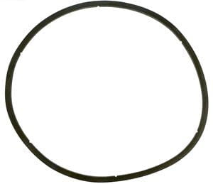 03 - Pentair EQ Comm. Plastic Pump Strainer Lid Gasket Only (350166)