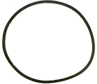 03 - Pentair EQ Comm. Plastic Pump Strainer Lid Gasket Only (350166)