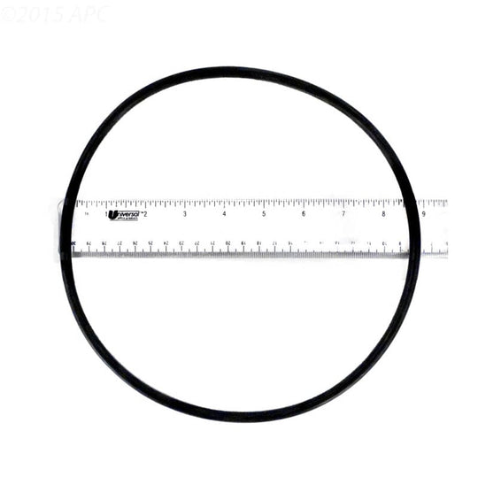 Pentair Seal Plate O-Ring for WhisperFlo® XF Pumps 351446Z