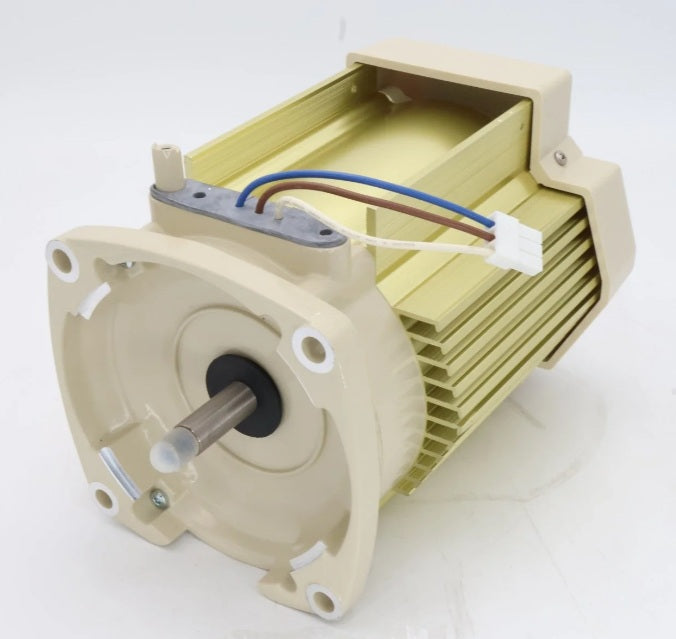 Pentair SuperFlo 353134S Almond Variable Speed Motor without Drive