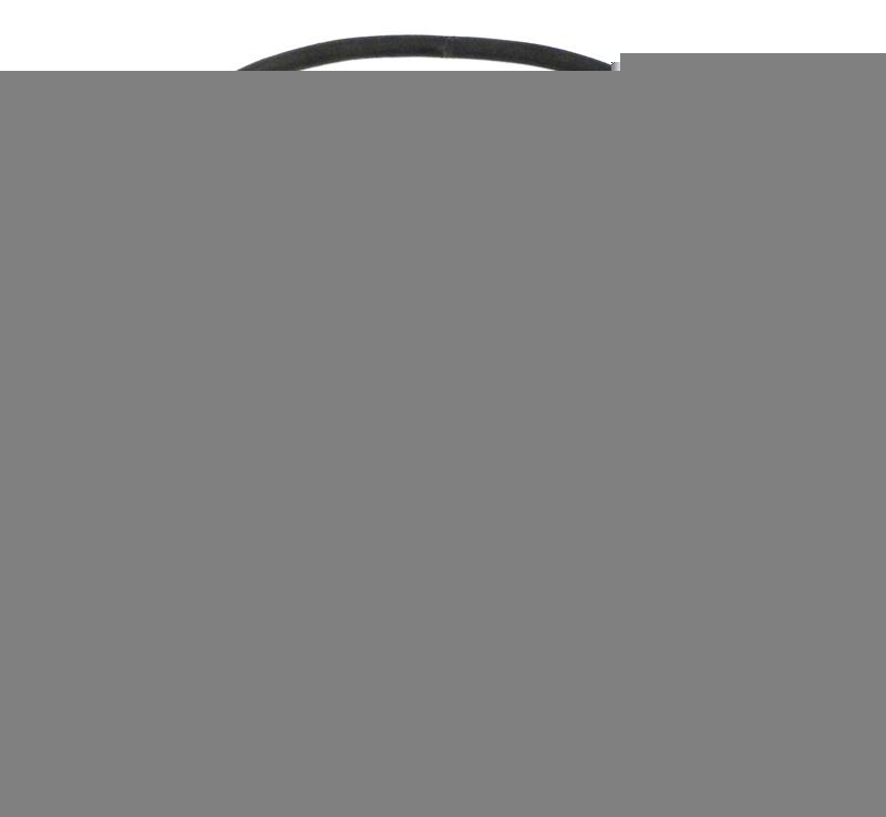 Sta-Rite Str. PKG 184, Trap Lid O-ring (35505-0421)