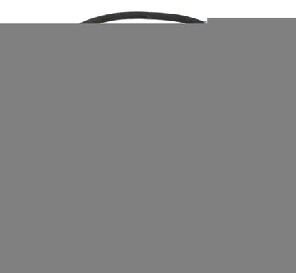 Sta-Rite Str. PKG 184, Trap Lid O-ring (35505-0421)
