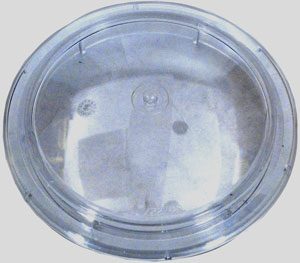Pentair OptiFlo Pump Strainer Pot Lid (357227)