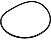 Pentair Maxim O-Ring, Volute (39101500)