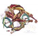 Raypak 2100 Wire Harness for Electronic (IID) Heaters (009490F)