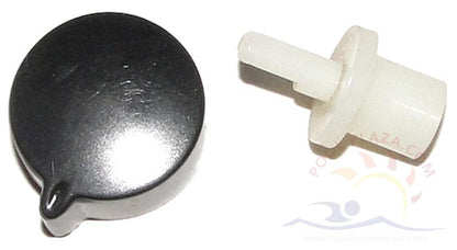 Raypak 2100 Thermostat Knob Kit (09499F) - Obsolete