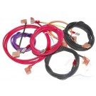 Raypak 2100 Wire Harness for Millivolt Heaters (010386F)