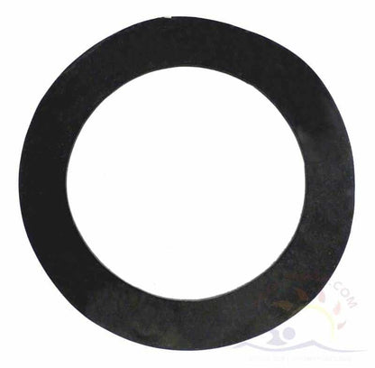 Pentair Mytilus FMY Gasket, Bulkhead Diffuser Assembly (154539)