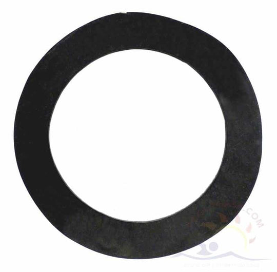 Pentair Mytilus FMY Gasket, Bulkhead Diffuser Assembly (154539)