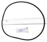 03 - Sta-Rite PXC Posi-Clear Tank O-ring (25230-0010S)