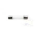 Sta-Rite Max-E-Therm Fireman's Switch Fuse, 1.25A, 1.25 in. (32850-0099)