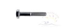 Pentair EQ Pump Diffuser Screw, All but #356735, Qty. 1 (350035)