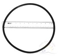 Pentair EQ Pump Seal Plate O-Ring, 3/8x11 in. diameter (356780)