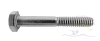 Pentair EQ Diffuser Screw, #356735 Only, Qty. 1 (356797)
