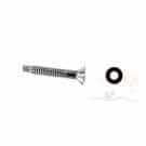 Pentair intelliBrite 5g Stainless Steel Pilot Screw w/Gum Washer (619355) (619335Z}