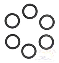 Sta-Rite Max-E-Therm Coil/Tubesheet Sealing O-ring Kit, SR200 models, (6) (77707-0117)