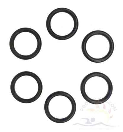 Sta-Rite Max-E-Therm Coil/Tubesheet Sealing O-ring Kit, SR200 models, (6) (77707-0117)