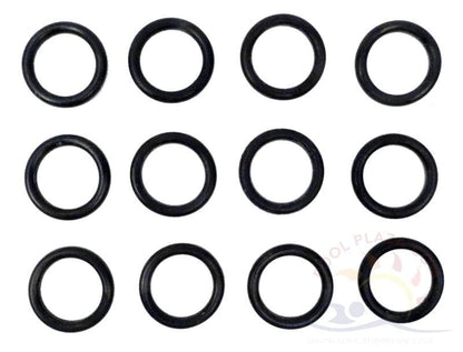 Sta-Rite Max-E-Therm Coil/Tubesheet Sealing O-ring Kit, SR400 models, (12) (77707-0119)