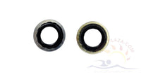 14 - Sta-Rite CC (Commercial) Bronze Pump, Stat-O-Seal Washer (C43-46SS)