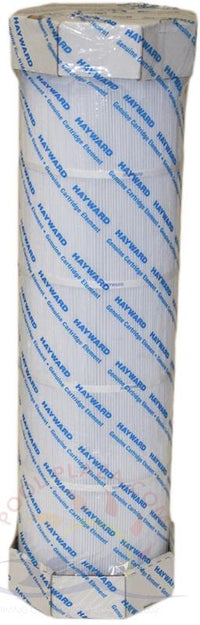 13C - Hayward SwimClear Replacement Cartridge for C4030 (CX880XRE)