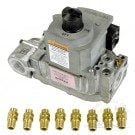 Hayward FD Heater Gas Conversion Kit, NA to LP (FDXLCNK0001)