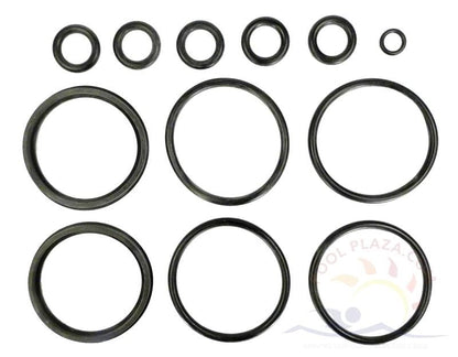Hayward Universal FD Heater O-ring Kit (Pk. Of 9, Various) (FDXLFOR1930)