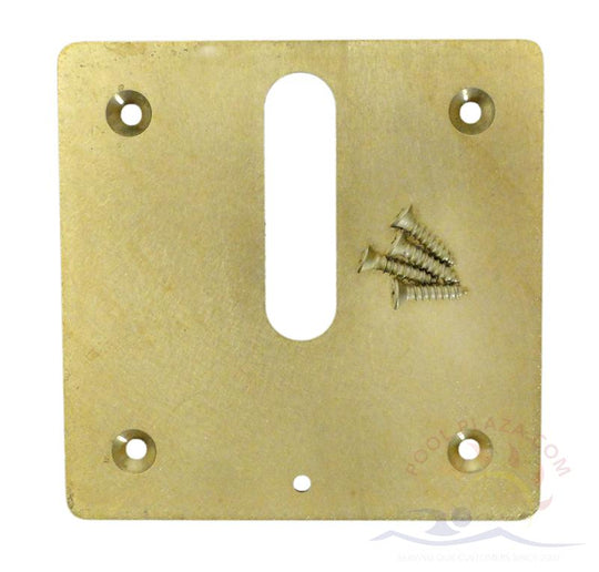 Polaris® MiniJet Brass Cover Plate & Screws (MJ6370)
