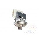 21 - Jandy® Legacy LRZ Pressure Switch, 1-10 psi (R0015500)