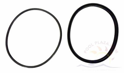 Jandy MHPM Pump Strainer Lid Seal w/O-ring (R0449100)