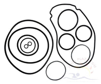 Jandy® JHP Series (Stealth Pump, O-Ring Set (R0556500)