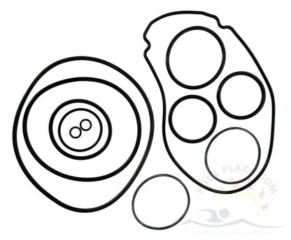 Jandy® JHP Series (Stealth Pump, O-Ring Set (R0556500)