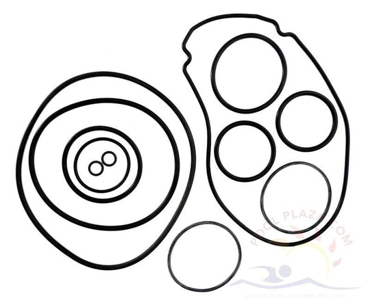 Jandy® JHP Series (Stealth Pump, O-Ring Set (R0556500)