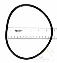Jandy® PHP Series Pot Lid O-Ring (R0558800)