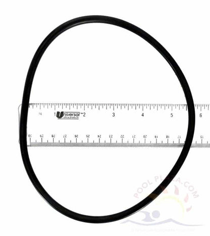 Jandy® PHP Series Pot Lid O-Ring (R0558800)