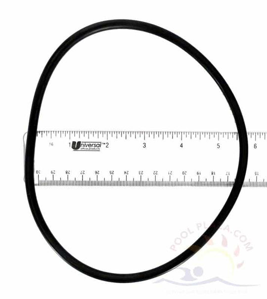 Jandy® PHP Series Pot Lid O-Ring (R0558800)