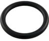 23-Pentair (PacFab) FNS Plus  O-Ring, Valve Stem, 2 in. (51005000)