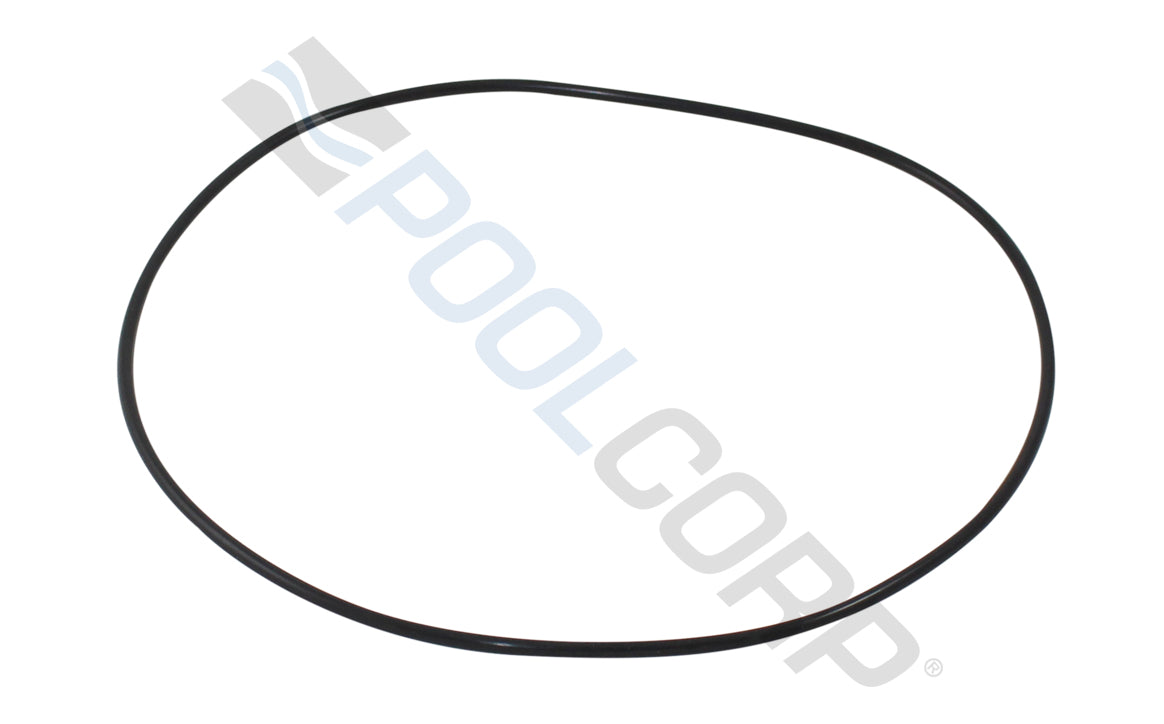 Pentair O-Ring For Chemical Container Lid 5 per Pack | 521507