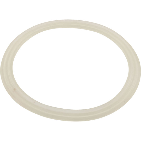 Waterway Gasket powerstorm flat - 711-6608