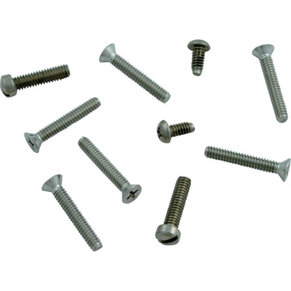 Pentair Kit Niche Screw Sb Screw Kit Retainer Screw Wall Panel Small Ss Niche Pentair - 79205500Z