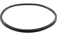 Pentair Clean and Clear Gasket for bottom manifold (57000300) (V38-221) (G-412)