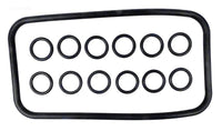Sta-Rite Max-E-Therm Manifold O-ring Kit (77707-0120)