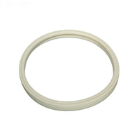 Pentair Amerlite Lens Gasket, 8 3/8 inch (79101600Z)