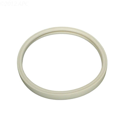 Pentair Amerlite Lens Gasket, 8 3/8 inch (79101600Z)